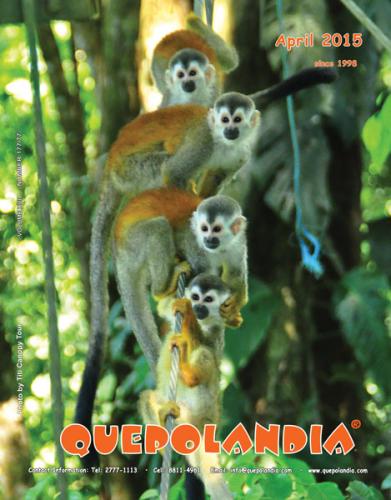 066cover-apr-15